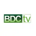 BDC TV (TV A Crítica) Ao Vivo - Assistir Online 24h HD