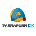 TV Arapuan Ao Vivo - Assistir Online 24h HD