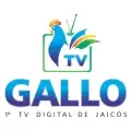 TV Gallo Ao Vivo - Assistir Online 24h HD