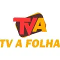 TV A Folha (TVA) Ao Vivo - Assistir Online 24h HD