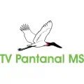TV Pantanal MS Ao Vivo - Assistir Online 24h HD